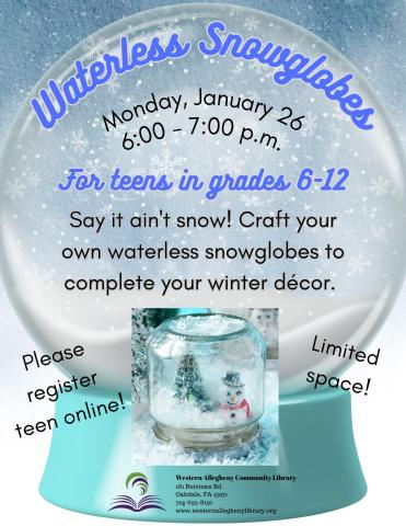 Waterless Snowglobe Flyer
