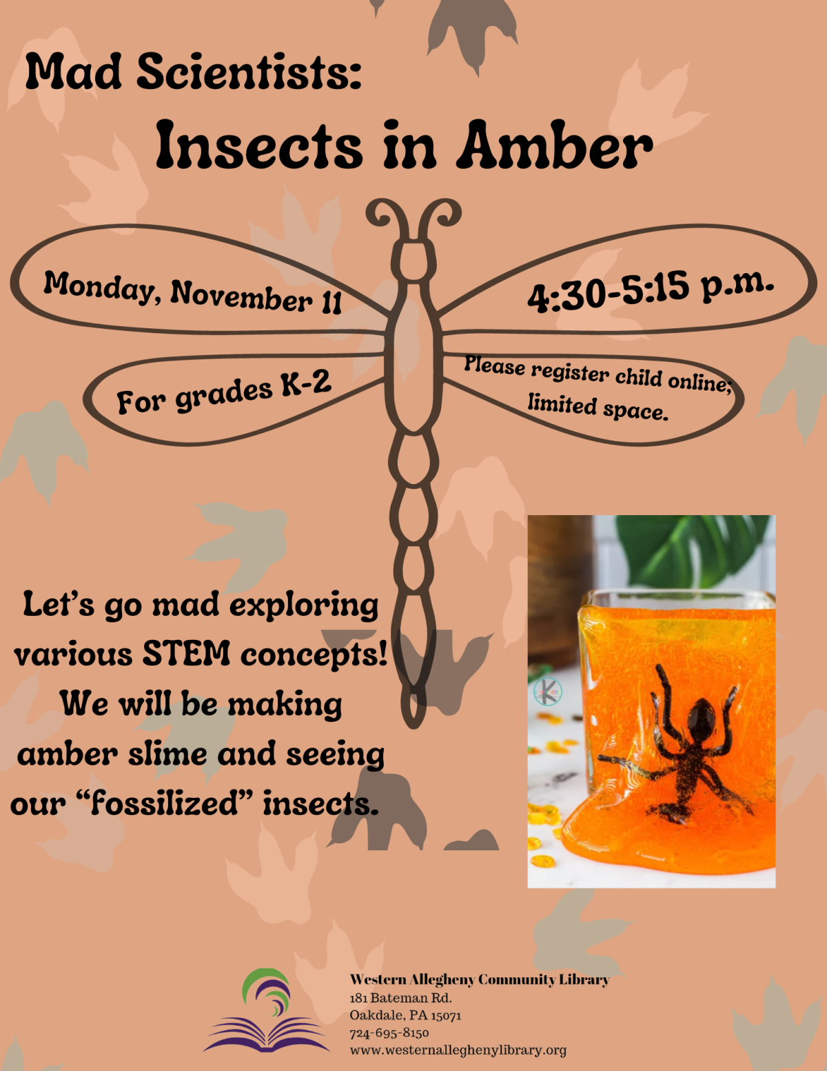 Insects in Amber Flyer