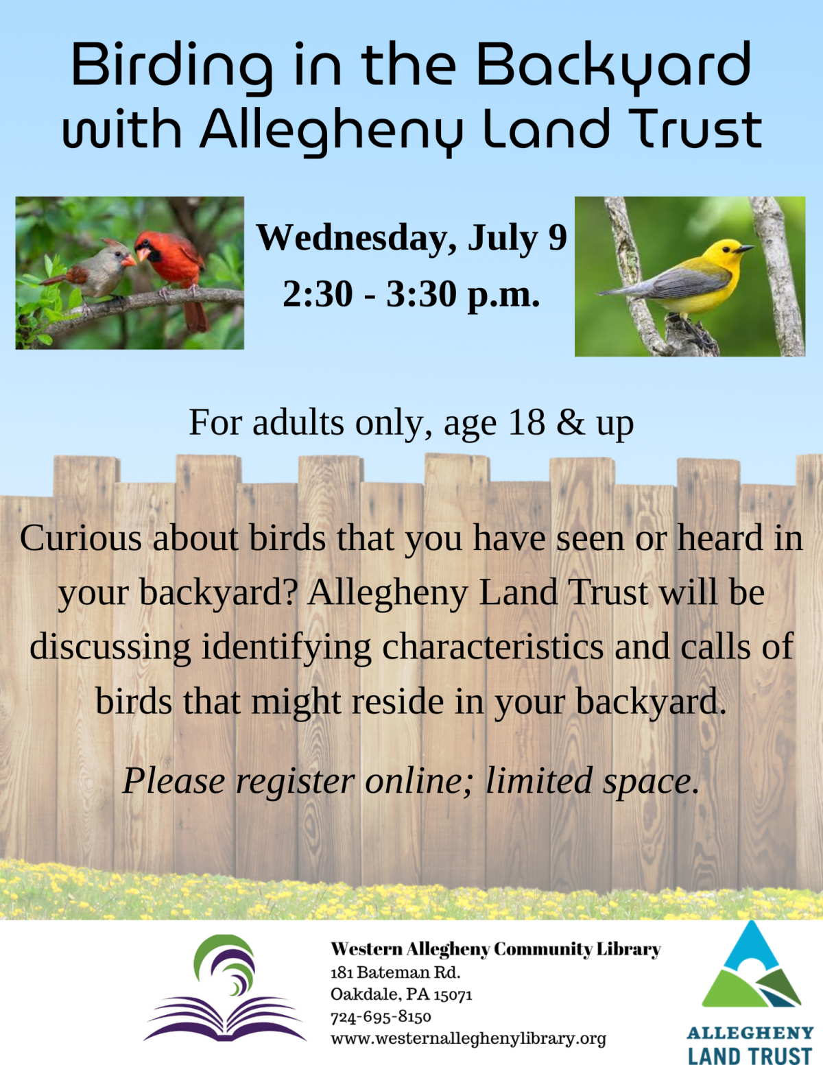 Birding in the Backyard flyer