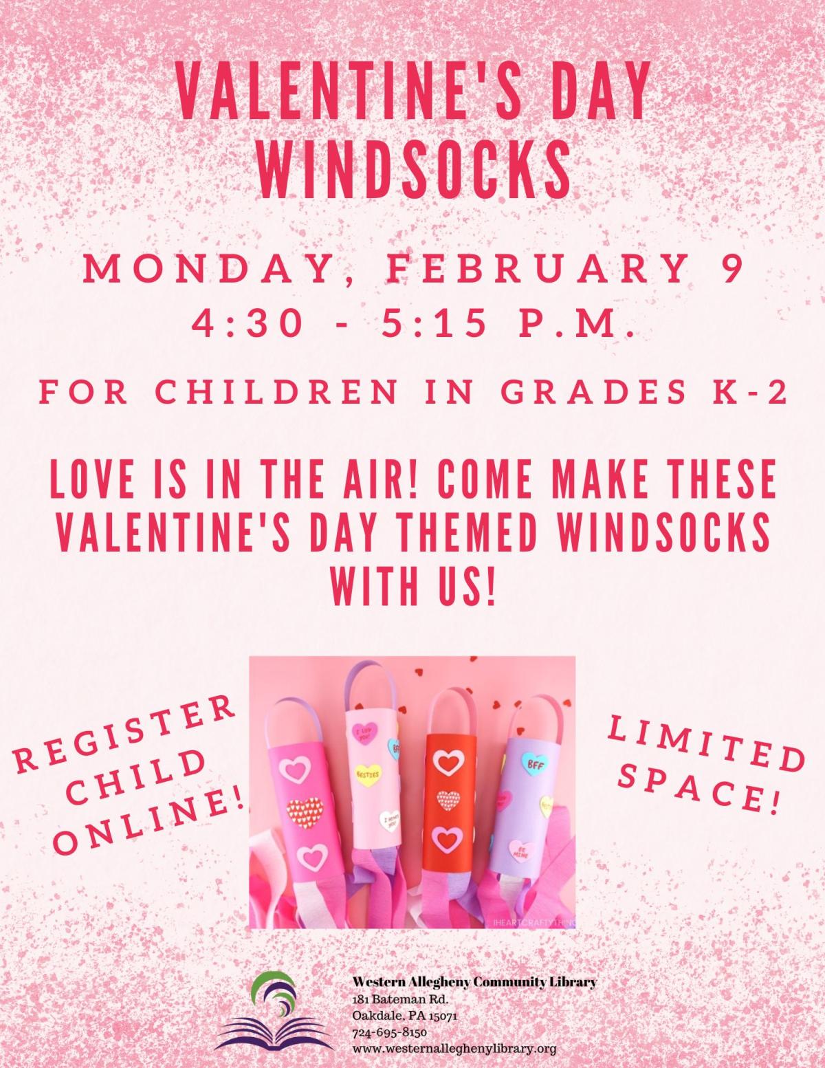 Valentine's Day Windsocks Flyer